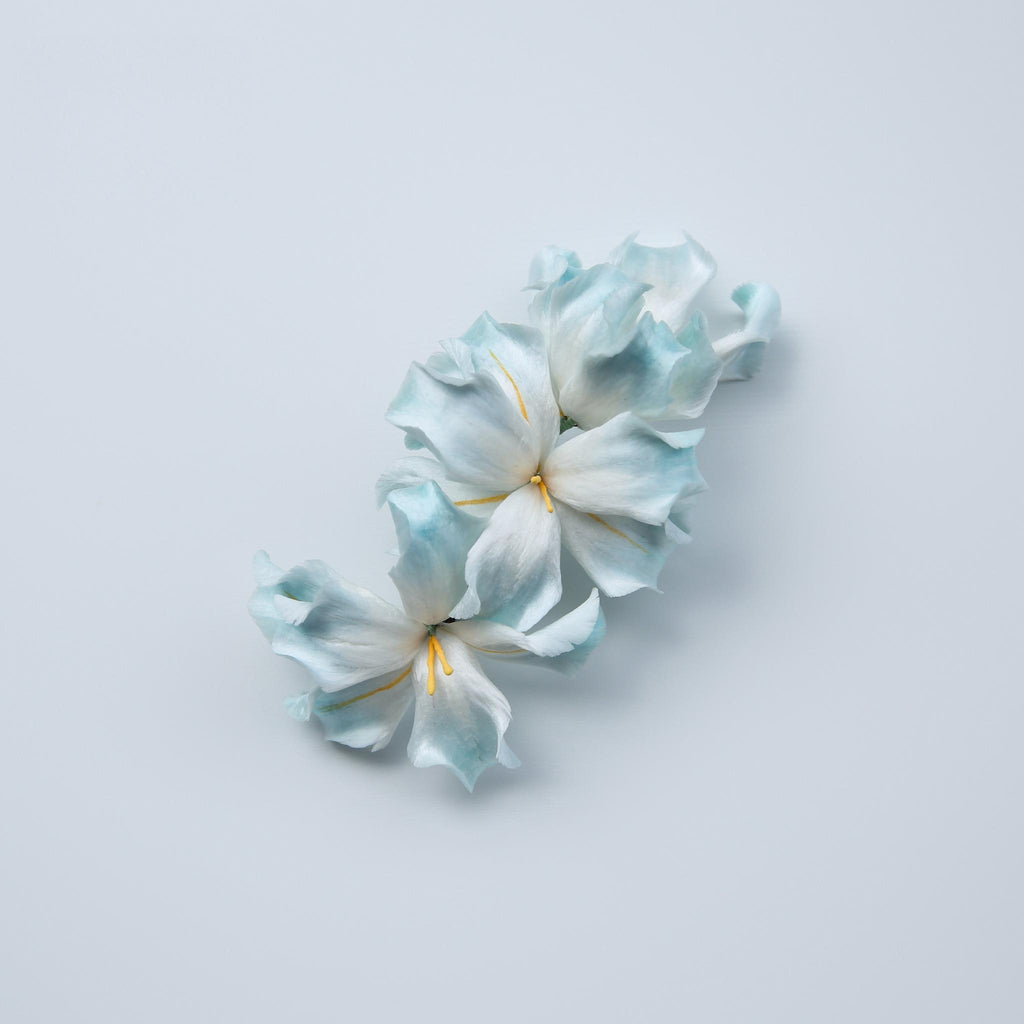 Iris Hair Clip
