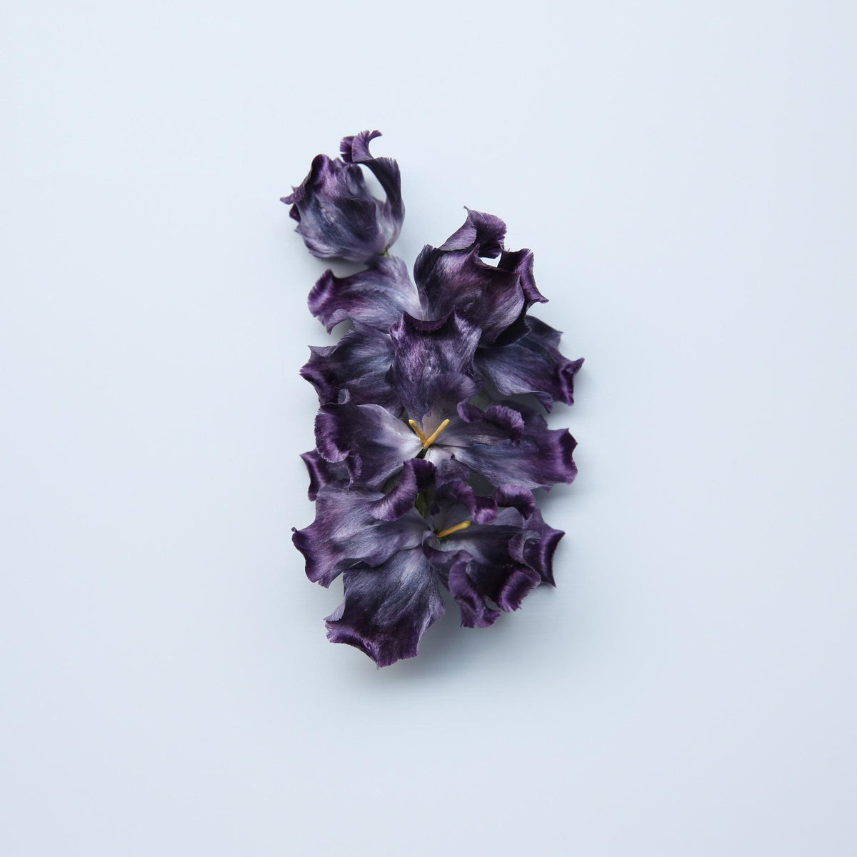 Iris Hair Clip